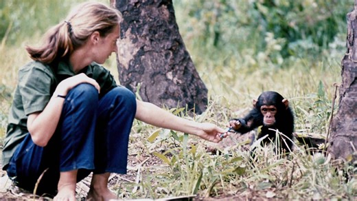 112K views · 8.3K reactions | “We just were two people loving animals...