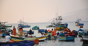 A Healthy Ocean Depends on Sustainably Managed Fisheries