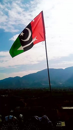 Pakistan PPP Flag Support Video