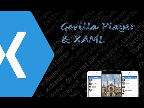 Xamarin Forms XAML #4 - Login Example