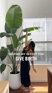 14K views · 267 reactions | If you comment “DETAILS” I’m happy to...