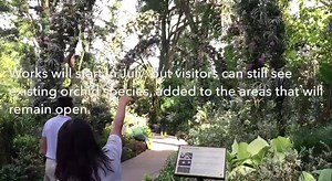 From 2019, visitors can see more types of orchids at the new Tropical Montane Orchidetum at the National Orchid Garden. The area, which aims to recreate a tropical montane forest, will combine three current exhibits showcasing orchids and other plants. http://str.sg/4aSN ......................................................................... To read more, click here to get 2-week access to ST. readsph.sg/free | The Straits Times