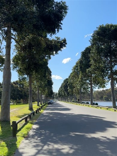 joy shi on Instagram: "who’s the fairest of them all? 🦢"