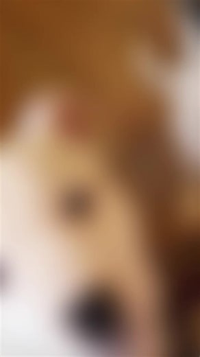 Chantelle Benson (@chantellebenson)’s videos with I'm Not Lucky, I'm Blessed - Love & The Outcome