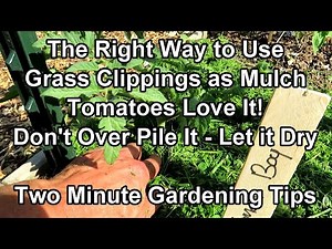 The Simple Right Way to Use Grass Clipping as a Garden Mulch - Conserve Water!: Two Minute TRG Tips