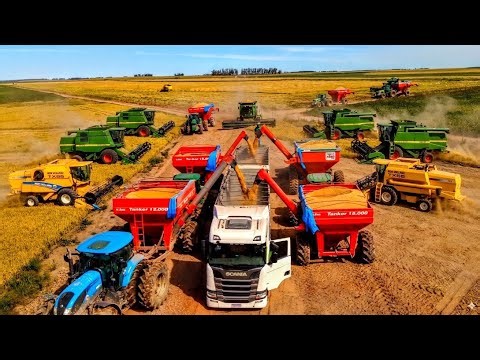 It's amazing how the Provisia hybrid rice harvest is done in Rio Grande do Sul, Brazil.