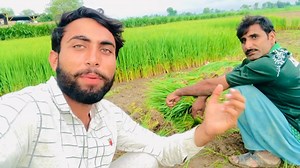 136K views · 10K reactions | Solar panels system py motor Phakoo tang ah gia - Very funny  video#FIFA #New #weather #punjabi #viral #funnydog #OMG #trending #movie #viralreels #funnyvideo #funny | Muhammad junaid | Facebook
