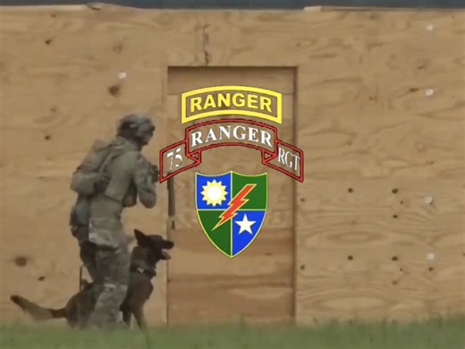 US Army 75th Ranger Regiment（美国第75游骑兵团）