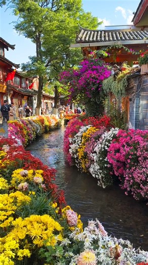 506K views · 7.2K reactions | Beautiful Dayan Ancient Town With Flowers And Canal , Lijiang, Yunnan Province | Best Destinations To Travel | Facebook