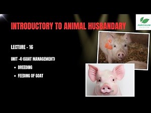 Breeding, Feeding of Goat | Introductory to Animal Husbandry | Lecture 16 ‪@AGRICULUM‬
