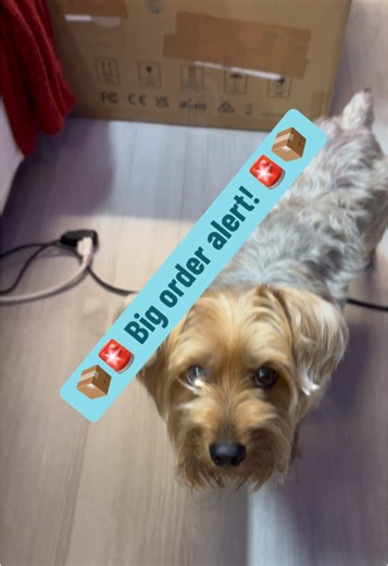 SW Design on TikTok
