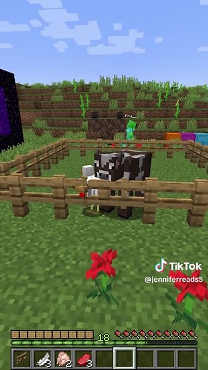 Epic Hide and Seek in Minecraft: Can You Find Me?