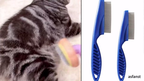 2 Pack Multifunctional Pet Comb, Upgrade Pet Grooming Brush Magic Tear Stain Removal Fine Tooth Stainless Massage Comb Kit for Puppies and Dogs (Yellow)