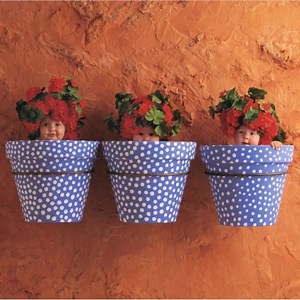 3.1K views · 35 reactions | Remember these images from the 90s? Anne Geddes' photographs of babies nestled in pea pods, cabbages and oversized flowers exploded into the public consciousness via her coffee table book, Down in the Garden. She spoke with RN's Stop Everything! about visual storytelling, success, portraiture, and the value of an Opera recommendation. For more, see link in first comment. | ABC Radio National | Facebook