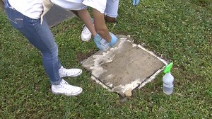 60K views · 1.5K reactions | Student volunteers from Plantation High school participated in the Martin Luther King Day of service by cleaning and preserving headstones at the historical African American Woodlawn Cemetery in Fort Lauderdale. | South Florida Sun Sentinel | Facebook