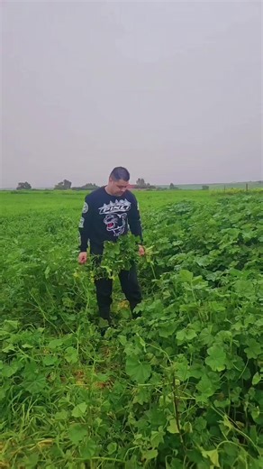 Vidéos de عادل المدكوري (@adilelmedkouriofficiel) avec son original - عادل المدكوري