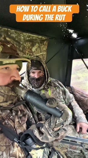Guaranteed Calling Method For Rut Whitetail #whitetaildeerhunting #huntinghumor #huntingtips