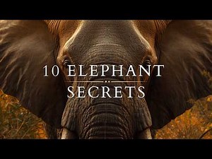 10 Elephant Facts That Sound Impossible but Are True | World Elephant Day 2026 #elephant
