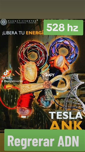 48K views · 942 reactions | #teslaank #fypシ゚ #frequency Utilizar la frecuencia 528 hz esta comprobado que regenera el ADN de los seres vivos....... Utiliza las frecuencias mencionadas en tu tesla Ank y regerna cada órgano de tu cuerpo..... | Magnetic Vortex | Facebook