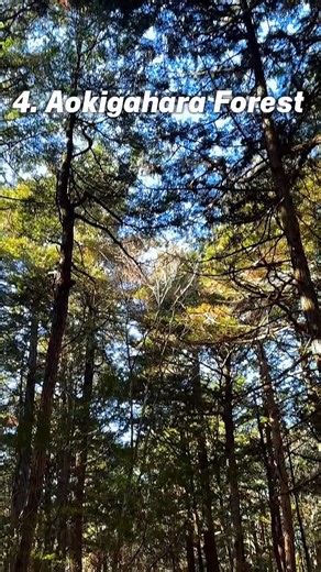 5.6K views · 49 reactions |  Yamanashi – The Land of Fuji and...