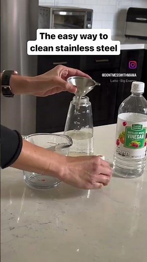 DIY Stainless Steel Cleaner