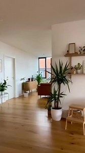 28K views · 2.4K reactions | How to grow a lime tree with a store-bought lime! 朗 @creative_explained #limes #lifehacks #howto #diy #plants #plantlover #plantsofinstagram #oatmeal #epsomsalt #houseplants #houseplant #gardening #plants #plantsofinstagram #gardenlife #lifehack #hacks #recycle #losangeles #plantfood #plantstagram #creativeexplained #magic #instadaily #plantjournal | ᑭlantamaven | Facebook