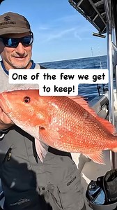 1.6K views · 117 reactions | JJ got the draw for a special Red Snapper permit on the East coast of Florida so this was one of the few Red Snapper we got to keep this year! #redsnapper #ars #snapper #snapperfishing #fishing #offshorefishing #eastcoast #florida #bigfish #reelhazardous | Reel Hazardous Fishing | Facebook