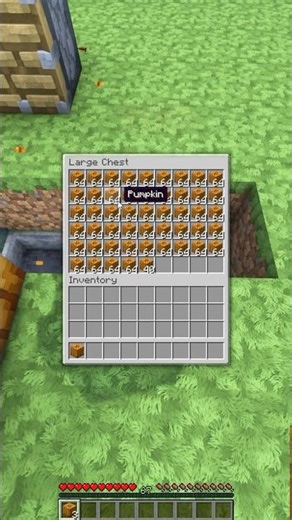 Simple Pumpkin Farm🎃 #minecrafttutorial