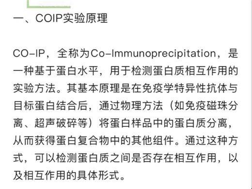 COIP蛋白互作验证实验步骤