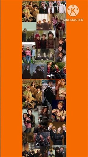 “Wizarding Trio Through the Years – A Magical Journey Collage”