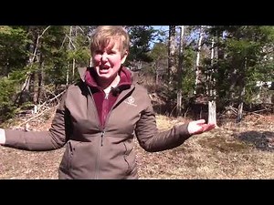 Grade 1: Saxon Math Lesson #115 Identifying Spring Taking Math Outside