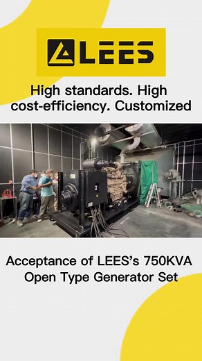 LEES 750KVA Open Type Generator Set Acceptance