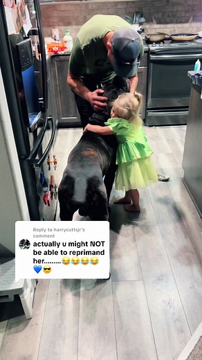 Cane Corso Reactions: A Fun Response Video