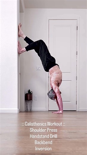 ✨ Calisthenics Workout ✨#concepthealth #motivation #yoga #shorts #shortsviral #reels #calisthenics