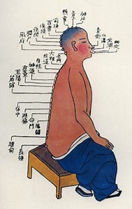 Five Element Body Types