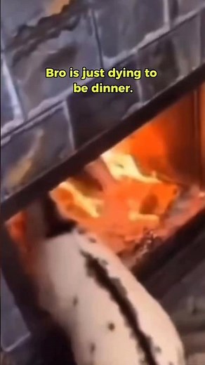 Goat Keeps Trying to Walk Into Fire | What Is Going On?!😅🤣😳 #funnygoat #goatdrama