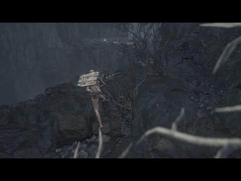 A fast tutorial to help beginners in Dark Souls 3.