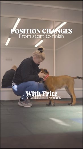 𝙏𝙖𝙣𝙮𝙖 𝙏𝙫𝙚𝙞𝙩 | 𝙏𝙚𝙧𝙫𝙪𝙚𝙧𝙚𝙣 𝙞𝙣 𝙈𝙤𝙣𝙙𝙞𝙤𝙧𝙞𝙣𝙜 | What do you guys think of the journey of Fritz position changes?🥺🥺 The love/hate relationship I have with this exercise! No, but... | Instagram