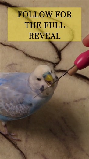 From Wool to Wedding Portrait 🐑✨💍 | Satisfying Felting Start