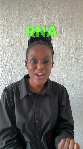 Studying differences between DNA and RNA - Grade 12 Life Sciences