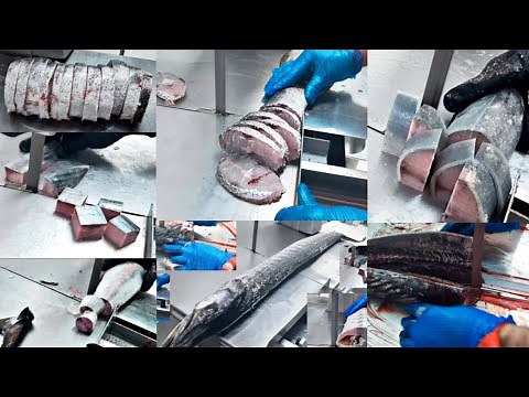 Indian butcher cutting fish with machine tuna fish barracuda fish king fish. 10 years experience