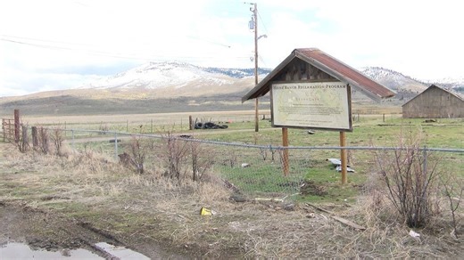 Massive Cold Springs industrial project moves forward after regional vote reversal