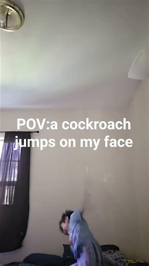 POV:a cockroach jumps on my face