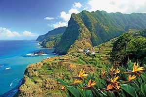 8 things to do in Madeira - from the Laurel Forest to Funchal's toboggan rides