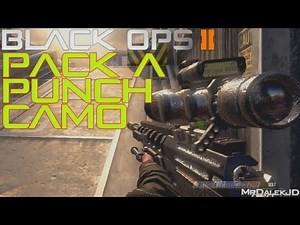 Black Ops 2 "PACK A PUNCH" Camo DLC Gameplay! Pack a Punch Personalizaiton Pack