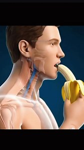¿Que pasa Dentro de tu Cuerpo Cuando Comes Una Banana? 🍌 | Fit Pro