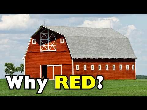 Why Are Barns Red?