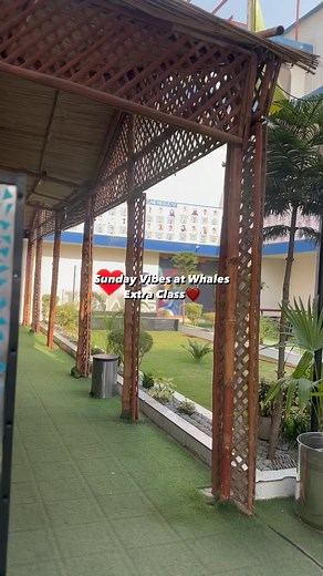 Whales College on Reels