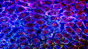 Fractal, Texture, Wallpaper. Free Stock Video