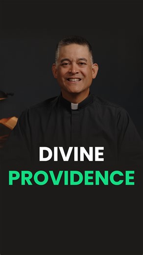 4.2K views · 155 reactions | Divine Providence... watch the full video on our YouTube channel here - https://youtu.be/otELa0Soanc | St. Patrick's Seminary & University, Menlo Park, California | Facebook